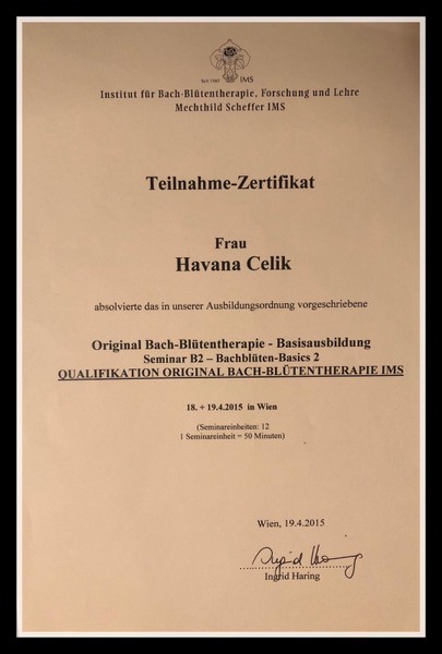 Bach Çiçekleri B2 Semineri Sertifikası