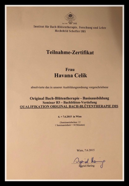 Bach Çiçekleri B3 Semineri Sertifikası