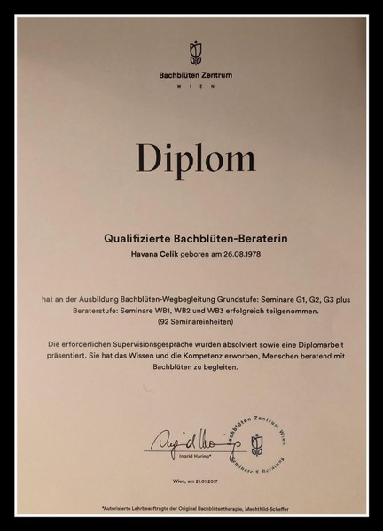 Bach Çiçekleri Danışmanlığı Diploması